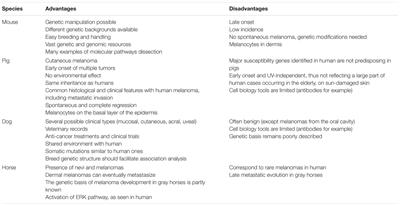 The MeLiM Minipig: An Original Spontaneous Model to Explore Cutaneous Melanoma Genetic Basis